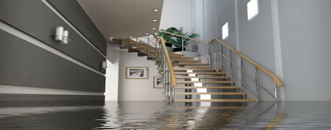 AquaGuard Waterproofing | Basement Waterproofing