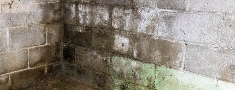 water-seepage-beltsville-md-aquaguard-waterproofing-3