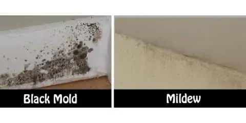 Meriden, CT | Budget Dry Waterproofing