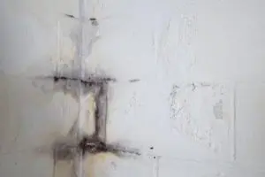 basement-inspected-killingworth-ct-budget-dry-waterproofing-2