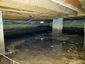 crawlspace-waterproofing-stamford-ct-budget-dry-waterproofing-2