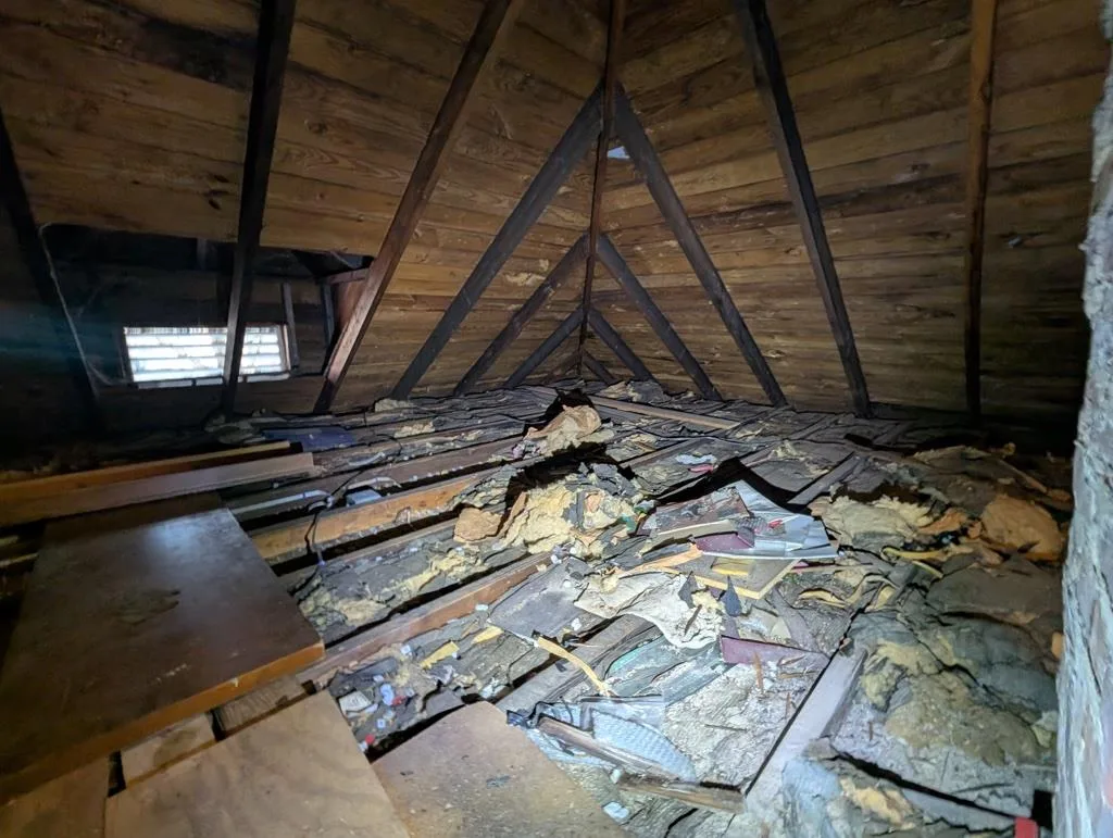 Old attic insulation and debris buildup before attic insulation replacement in Buckingham CT home