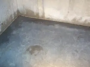 basement-moisture-budget-dry-waterproofing-2