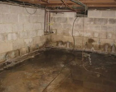 diy-basement-waterproofing-budget-dry-waterproofing-1