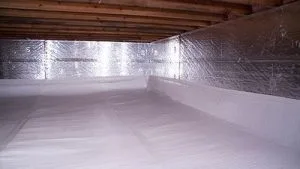crawlspace-waterproofing-budget-dry-waterproofing-1
