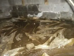 Crawlspace Waterproofing | Stamford, CT | Budget Dry Waterproofing