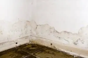 foundation-repair-stamford-ct-budget-dry-waterproofing-1