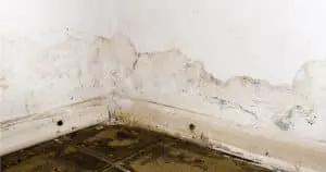 budget-dry-waterproofing-stamford-ct-budget-dry-waterproofing-1