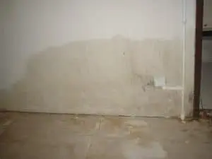 Wall dampness