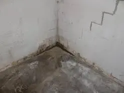 Wet Basements | Killingsworth, CT | Budget Dry Waterproofing