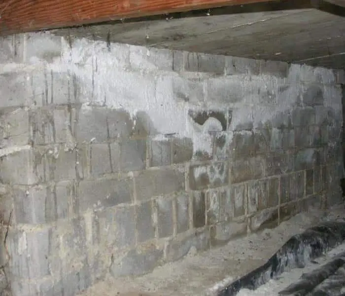 New Haven, CT | Budget Dry Waterproofing