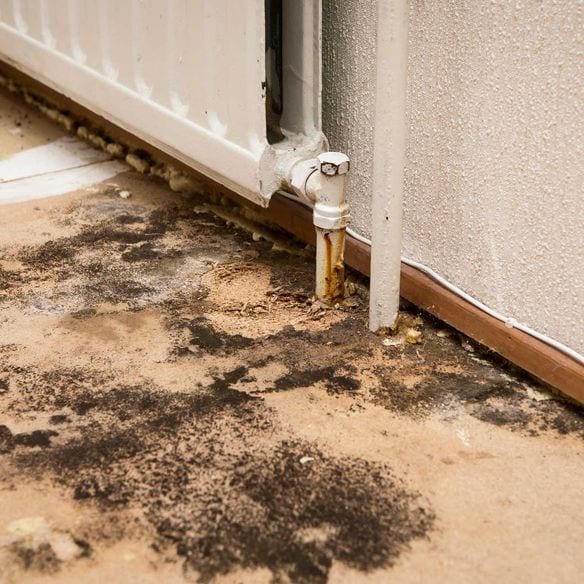 Stamford, CT | Budget Dry Waterproofing