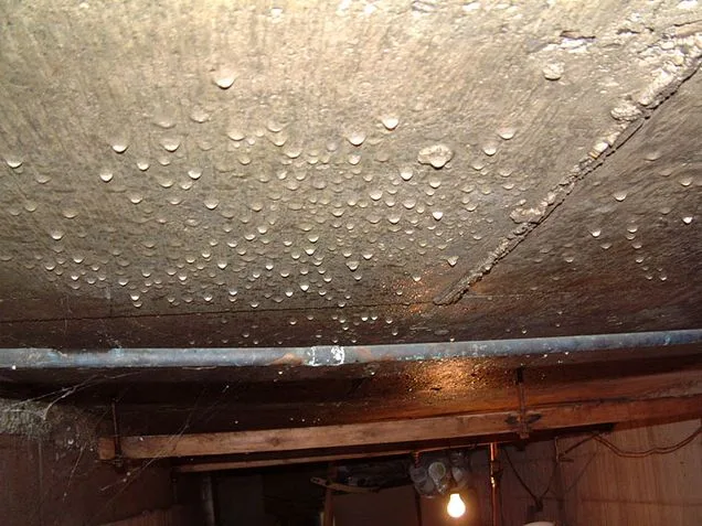 Bristol, CT | Basement Moisture | Budget Dry Waterproofing
