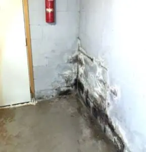Wet Basements | Killingsworth, CT | Budget Dry Waterproofing