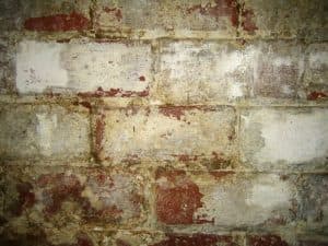 Indoor Air Quality | Stamford, CT | Budget Dry Waterproofing