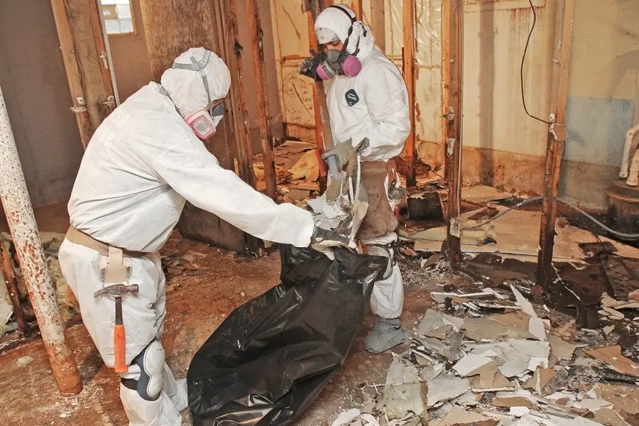 mold-and-mildew