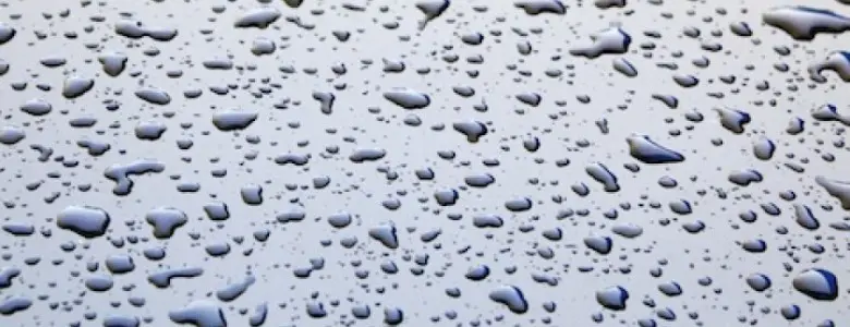 Moisture in Basement | Newark, OH