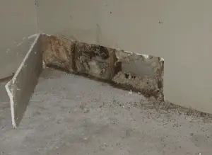 prevent-mold-wyoming-mi-everdry-waterproofing-of-greater-grand-rapids-2