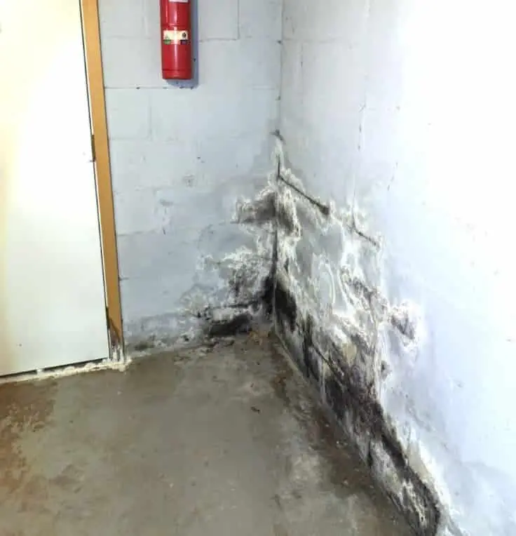 everdry-waterproofing-grand-rapids-mi