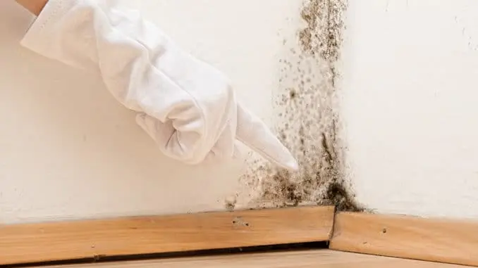 Moisture in Basement | Newark, OH