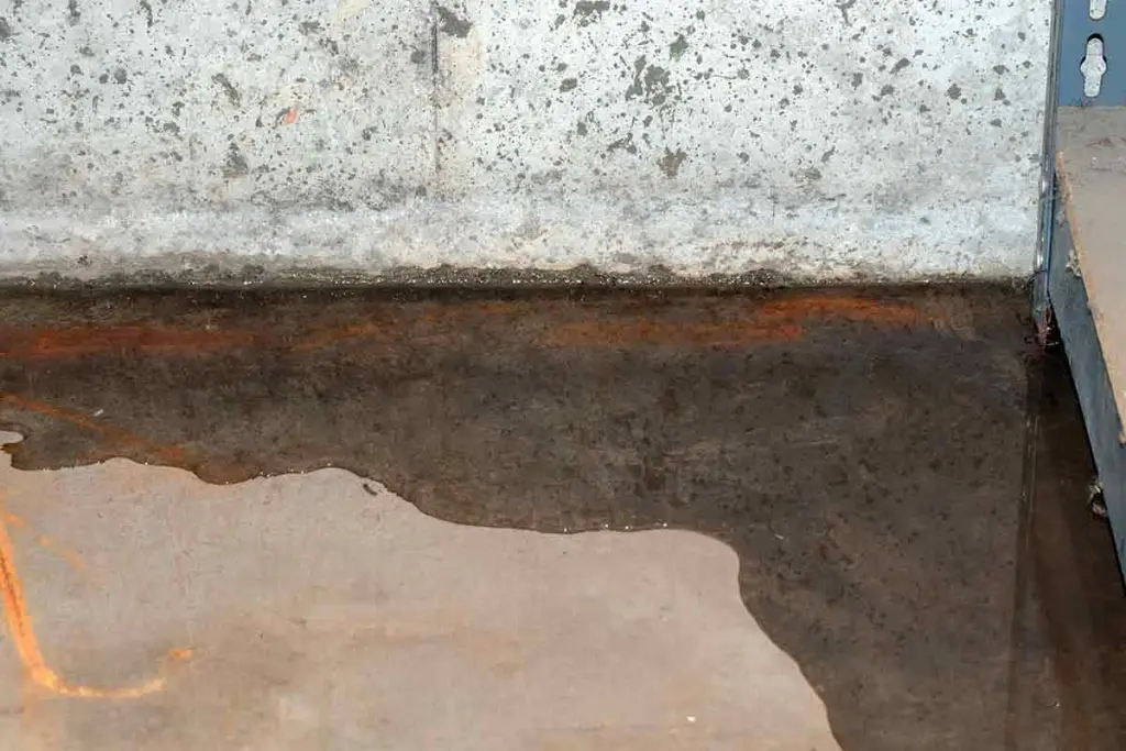 Keeping the Flood at Bay: Expert Basement Waterproofing Solutions