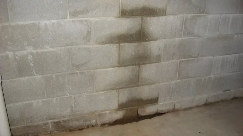 water seepage