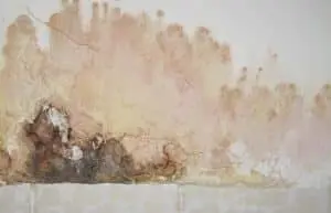 prevent-mold-wyoming-mi-everdry-waterproofing-of-greater-grand-rapids-1