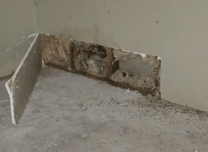 Mold Near Floor | Wyoming, MI | Everdry Michigan