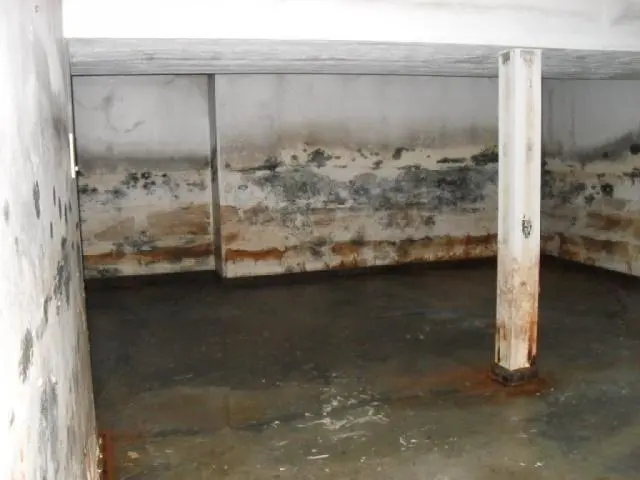 moldy-basement-in-saginaw-mi-48603