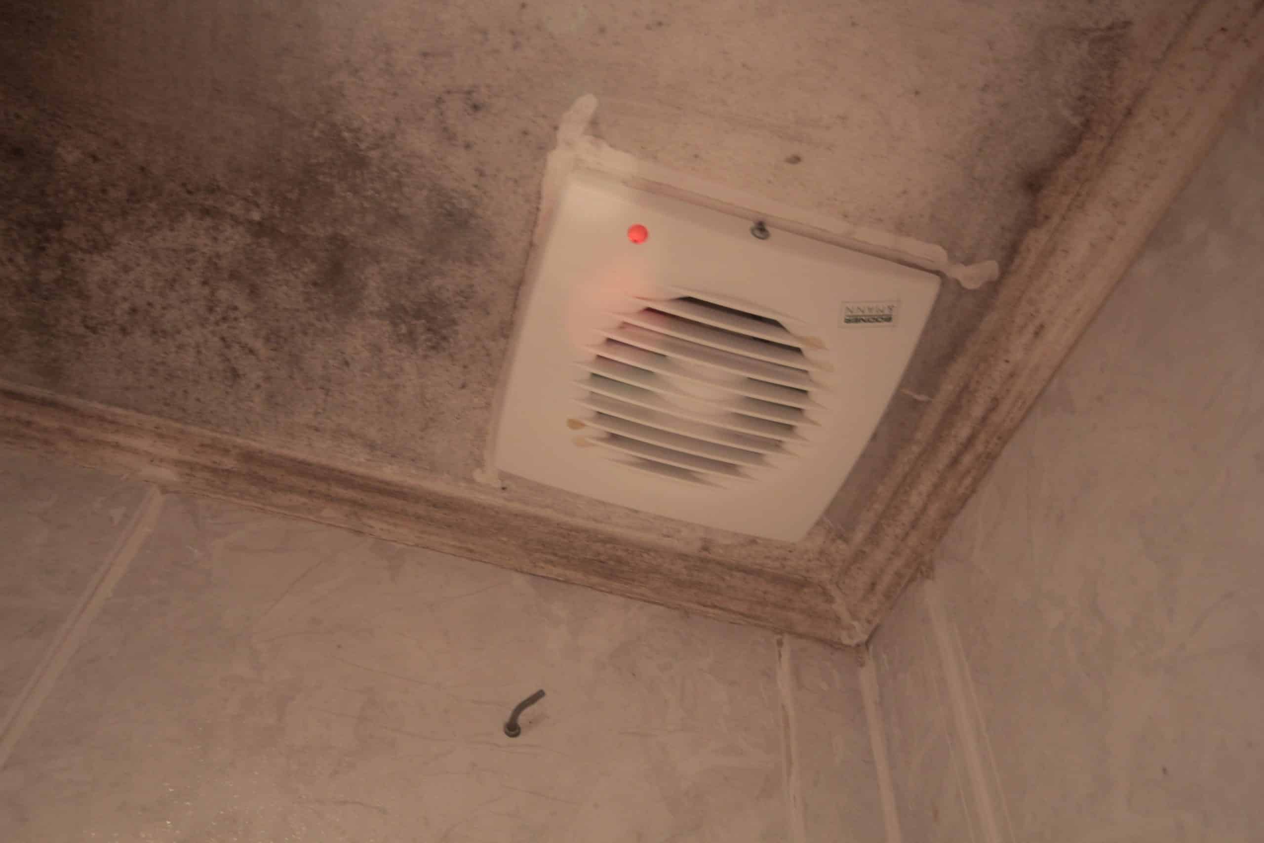 crawl space mold in grand rapids mi