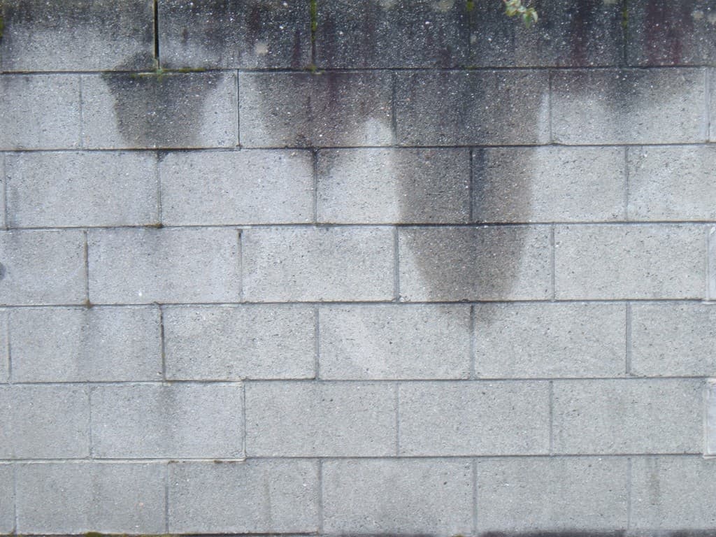 water seepage