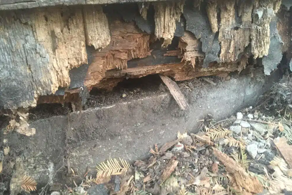 crawlspace-waterproofing-sterling-wyoming-mi-everdry-waterproofing-of-greater-grand-rapids-3