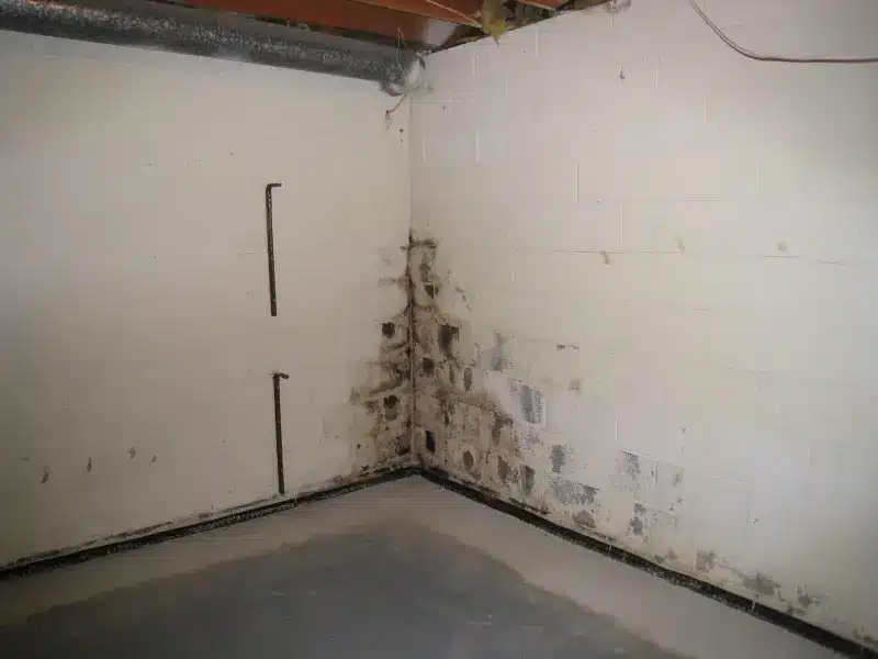 basement-waterproofing-everdry-waterproofing-of-greater-grand-rapids-1