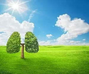  Indoor Air Quality | Cleveland, OH | EZ Breathe Ventilation System