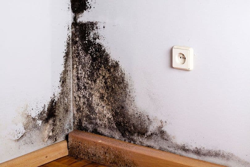 ez-breathe-ventilation-system-ez-breathe-ventilation-system-3