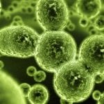 Mold Remediation | New Jersey