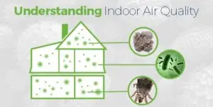 Understanding indoor air quality graphic showing a house with highlighted allergens like mold and dust mites, emphasizing the importance of ventilation for healthier air.