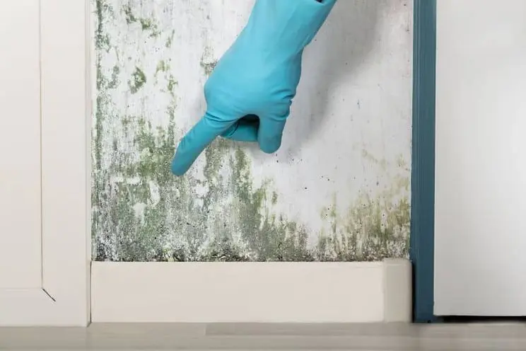 Mold Testing | New Jersey | EZ Breathe Ventilation System
