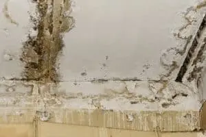 mold-removal-ez-breathe-1