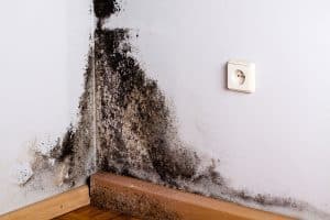 ez-breathe-ventilation-system-ez-breathe-ventilation-system-3