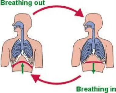 indoor air quality