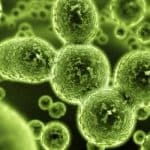 Mold Remediation | New Jersey