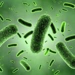 ew York, NY | Basement Ventilation | EZ Breathe indoor air qualitiy professionals can guide you with choosing an EZ Breathe System that will improve your homes indoor air quality
