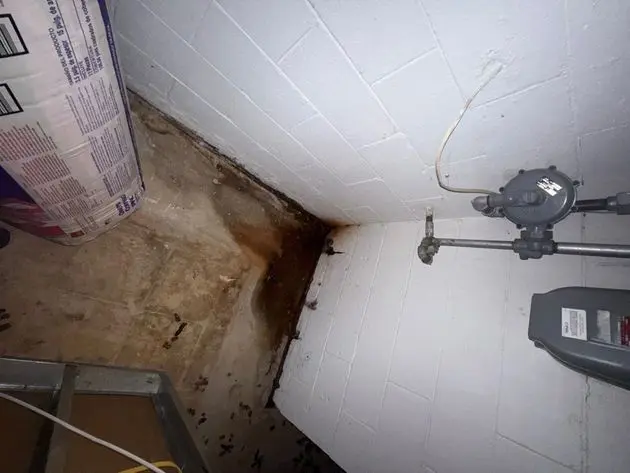 Basement moisture and water staining near foundation wall before black mold removal in New Jersey