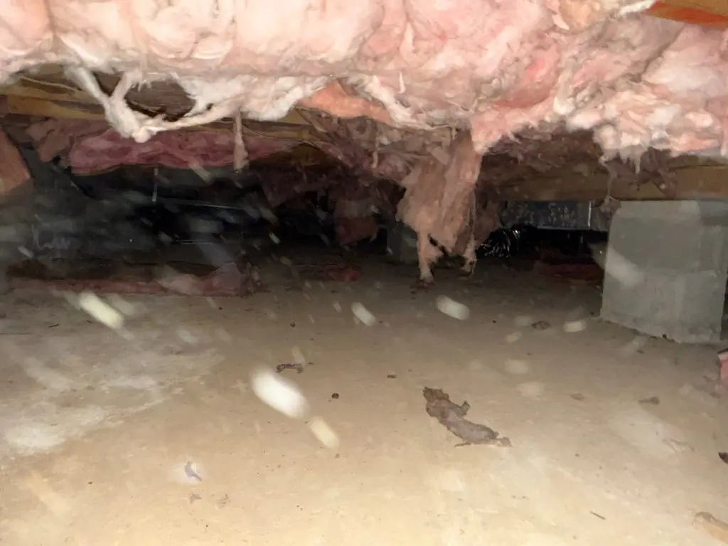 Damp, unsealed crawl space beneath a New Jersey home before encapsulation