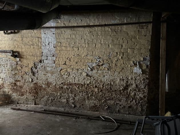 Damp basement wall showing water damage and mold remediation needs in New Jersey.