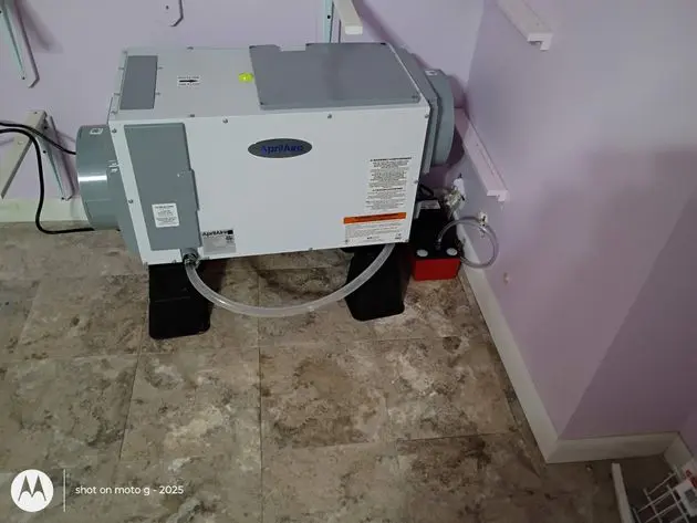 basement dehumidifier