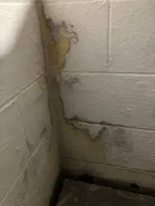Damp basement wall with water seepage and mold growth illustrating common leak causes in New