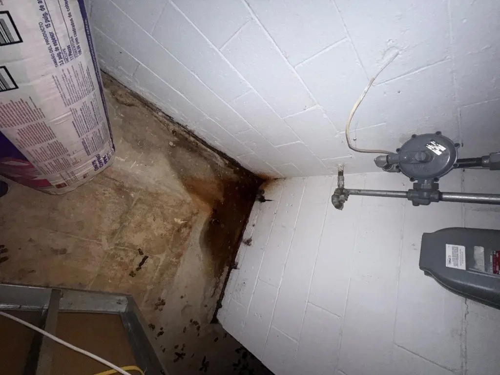 Basement moisture and water staining near foundation wall before black mold removal in New Jersey