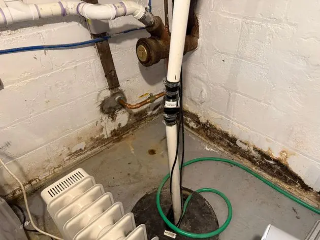 Basement water damage and mold growth near pipes, requiring NJ waterproofing and remediation.